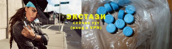 стаф Осинники