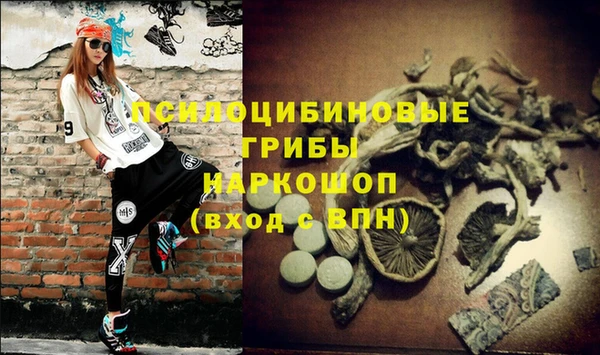 мдпв Горно-Алтайск