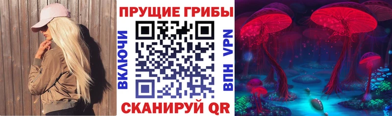 Псилоцибиновые грибы MAGIC MUSHROOMS  Купить где  Коммунар 